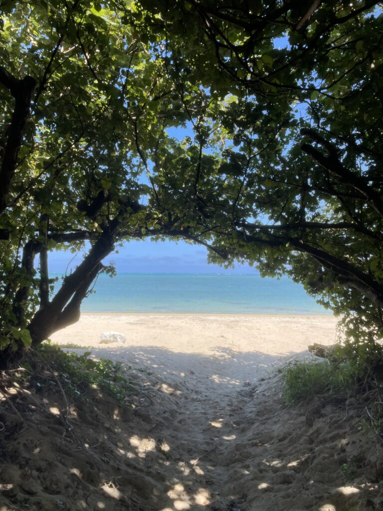 沖縄南部の秘境ビーチ